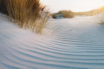 Fototapete Dünengras Ripple sand pattern in dune with grass aside.  © Anna