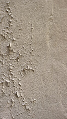 old white wall with small peeling paint - rough dirty texture for a vertical background surface