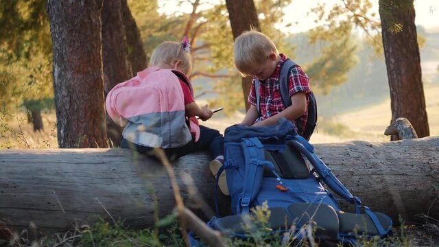 A boy and a girl are sitting on a log in the forest with a tablet. Computer games in the fresh air. Traveling through the woods using a tablet