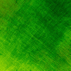 Textured green background