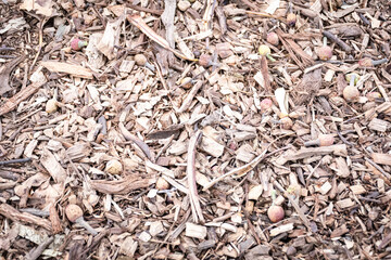 wood chips on floor