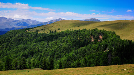 Obraz premium Sunny Meadow, near Transalpina road, Romania