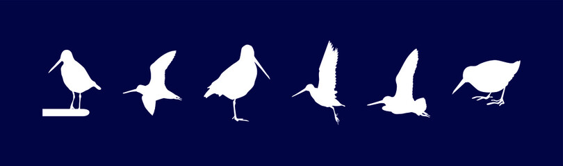 a set of common snipe drum silhouettes. vector illustration - obrazy, fototapety, plakaty