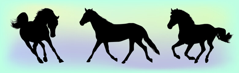 Silhouettes of horses on a gradient background.