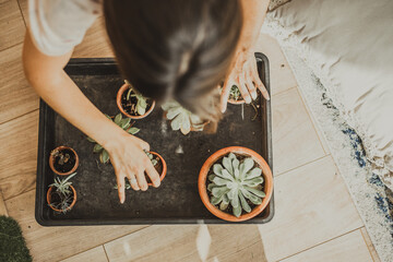 Chica con plantas en bonita oficina