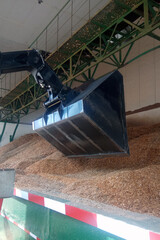 machinery at a wood processing plant