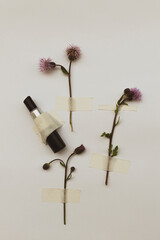Dark lipstick and burdock flowers are glued to white paper with duct tape. Vintage collection of herbarium.