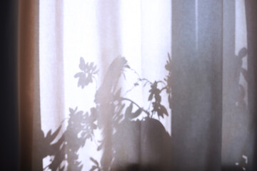 Floral shade on plain beige material. Curtains.