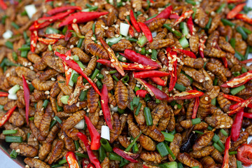 red hot chili peppers and insects 