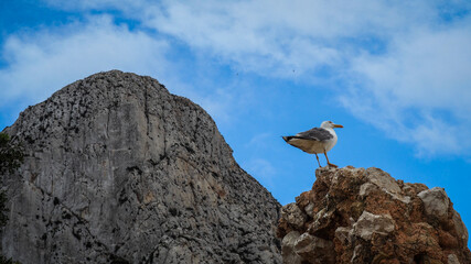 Calpe - the city in the Spanish region of Costa Blanca