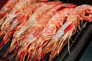delicious fresh prawns lie on the grill, mediterranean seafood set