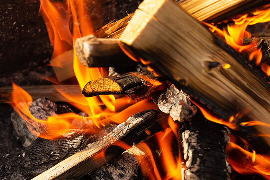 bonfire burning bright tongues orange flame among charred firewood close-up