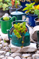 Reused planter ideas. Second-hand kettles, saucepans, old teapots turn into garden flower pots....