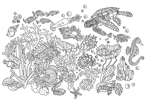 Undersea world : corals, sea anemones, shells, fish, crab, sea turtle, crystals, seahorse. Environment, nature, ecology, ocean. Hand drawn illustration. Anti stress coloring book page, postcard.