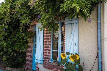fleurs de tournesol devant une maison en vend&eacute;e