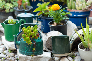 Reduce, reuse, recycle planter, craft ideas. Second-hand kettles, saucepans, old teapots turn into...