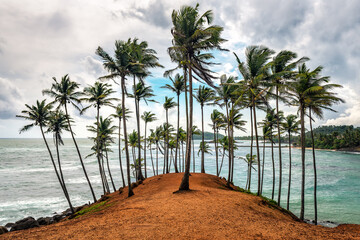 coconut tree hill on Sri Lanka