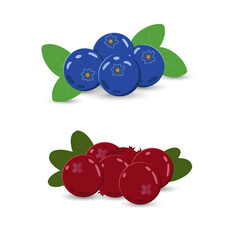 Two small heaps of blueberries and lingonberries decorated with green leaves. Vector illustration. Flat design. Design elements for various purposes.