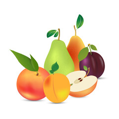 Still life of various fruits. Vector illustration. Bright saturated colors. For use in various design projects as a whole composition or separately.
