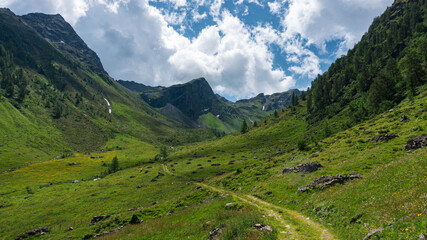 Naklejka premium landscape in the mountains