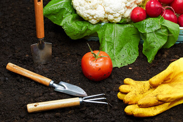 Tools for the garden and garden lie on the ground next to fresh vegetables. © Maksim