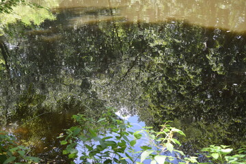 Rippled water reflections on a pond