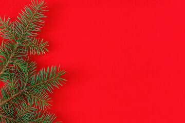 Christmas fir tree branches on a red background fir branches border on red background, good for christmas backdrop