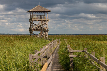 Fototapeta na wymiar Wooden observation tower in nature. Active recreation in nature