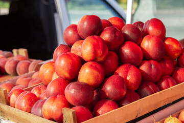 Ripe red nectarines in a wooden box.A large pile of collected nectarines for sale. A counter selling fruit in soft focus. Abstract background of juicy pears. Harvest. Street sale of seasonal fruits