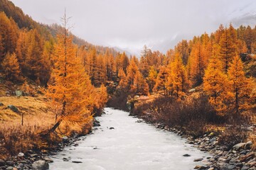 Fafleralp Switzerland 