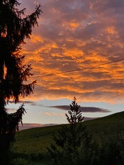 Sonnenuntergang - Abendrot - Reben und Wolken
