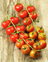 Branches of Cherry Tomatoes