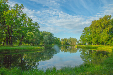 pond in the Park