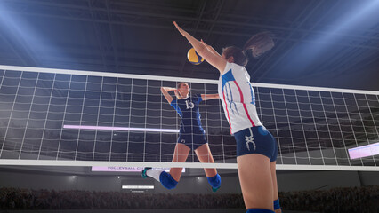 Female professional volleyball players in action on 3d stadium.
