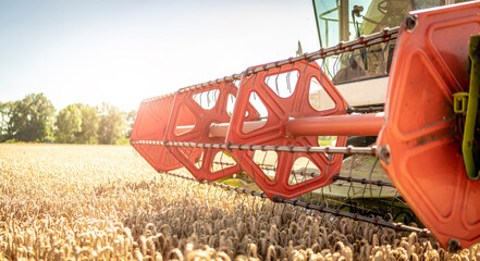 Mähdrescher bei der Ernte auf dem Feld