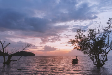 Early sunset on the Andaman Sea with boat, islands and mangroves