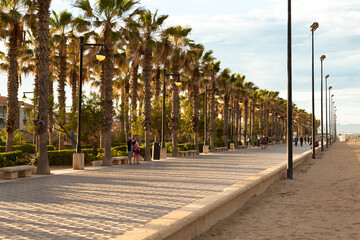 Obraz premium Palm trees on the beach in Spain.