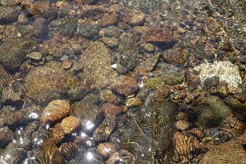 Stone in water. Stone. Rock. River.