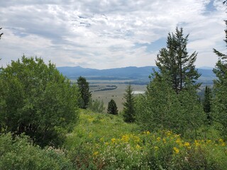 Green hills with mountains in the background