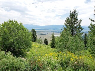 Green hills with mountains in the background