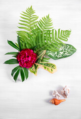 Top view of green tropical leaves and red flowers and shells on a white background. Flat layer, top view, copy space. Minimal summer concept with fern, dieffenbachia and shell leaves.
