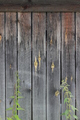 old wooden fence