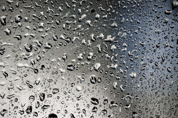 Drops of water perched on my window glass