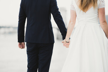 Wedding couple bride and groom holding hands