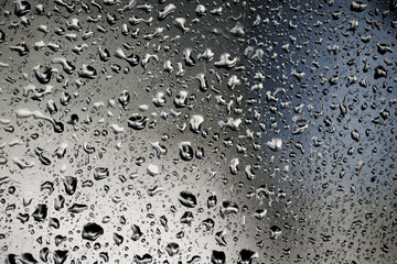 Drops of water perched on my window glass