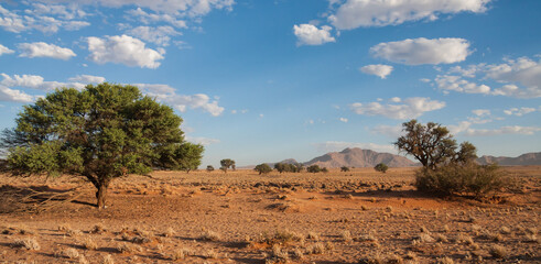 Barren Namibia desert landscape view with blue sky, trees and mountains