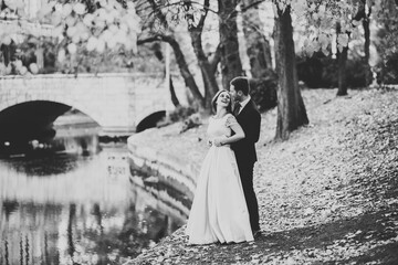 Beautiful romantic wedding couple of newlyweds hugging in park