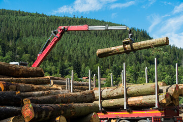 LKW beim Abladen von Baumst&auml;mmen