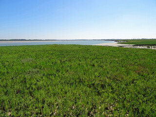Paysage du Pas de Calais