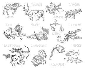 Constellations, zodiac signs, horoscope. Aries, Taurus, Gemini, Cancer, Leo, Virgo, Libra, Scorpio, Sagittarius, Capricorn, Aquarius, Pisces. Vintage engraving tattoo style drawings isolated on white. © Natalia